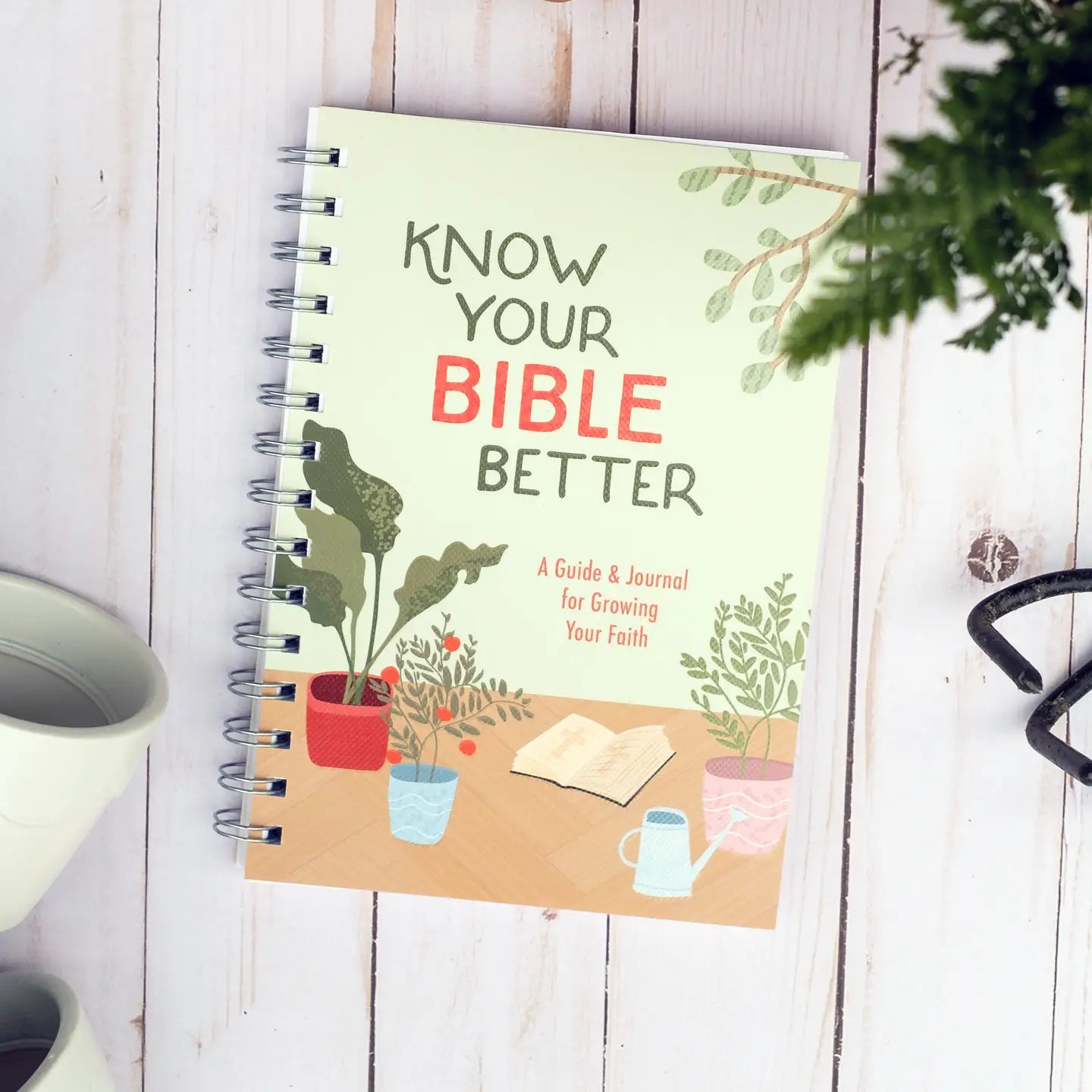 Know Your Bible Better