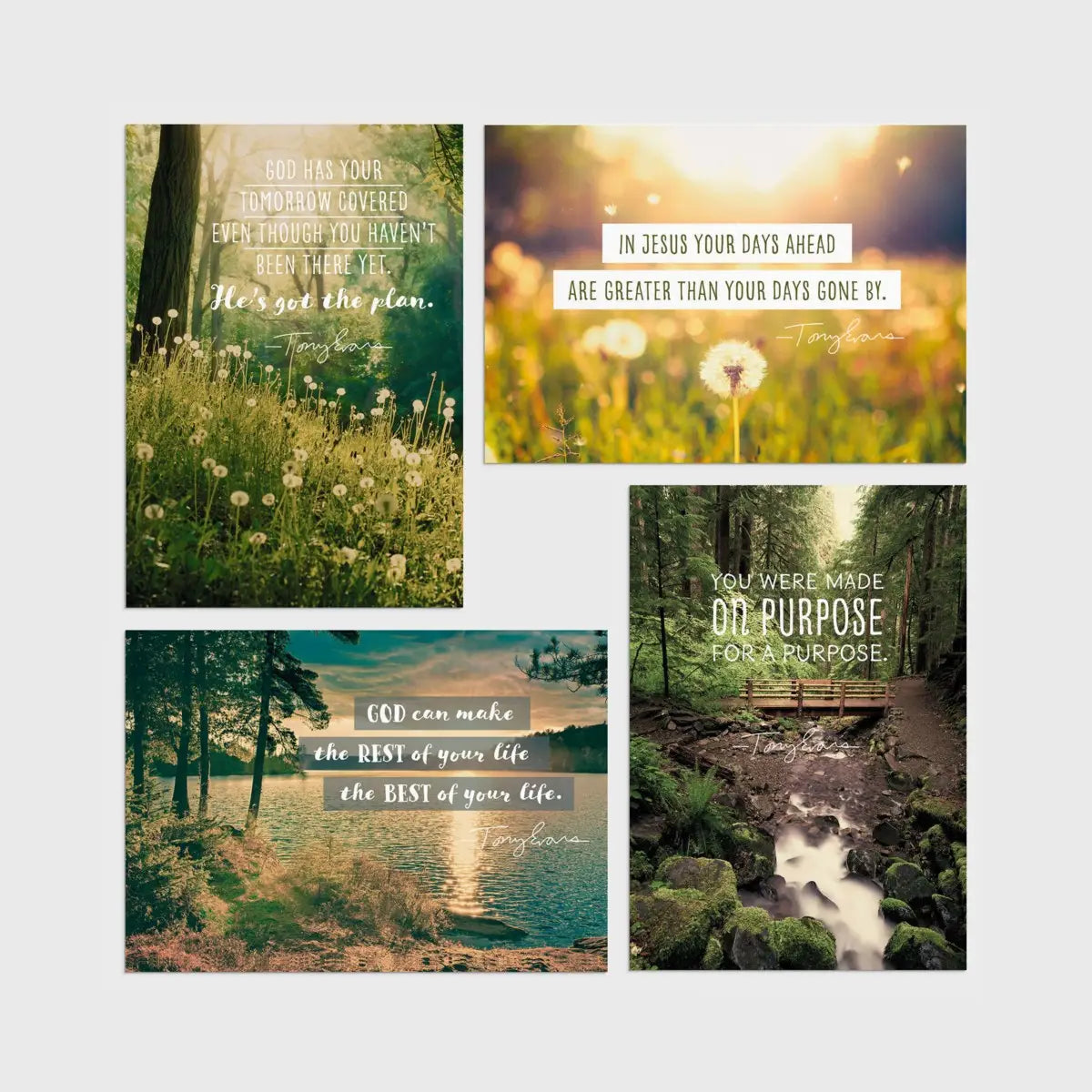 Tony Evans - Birthday - 12 Boxed Cards and Envelopes