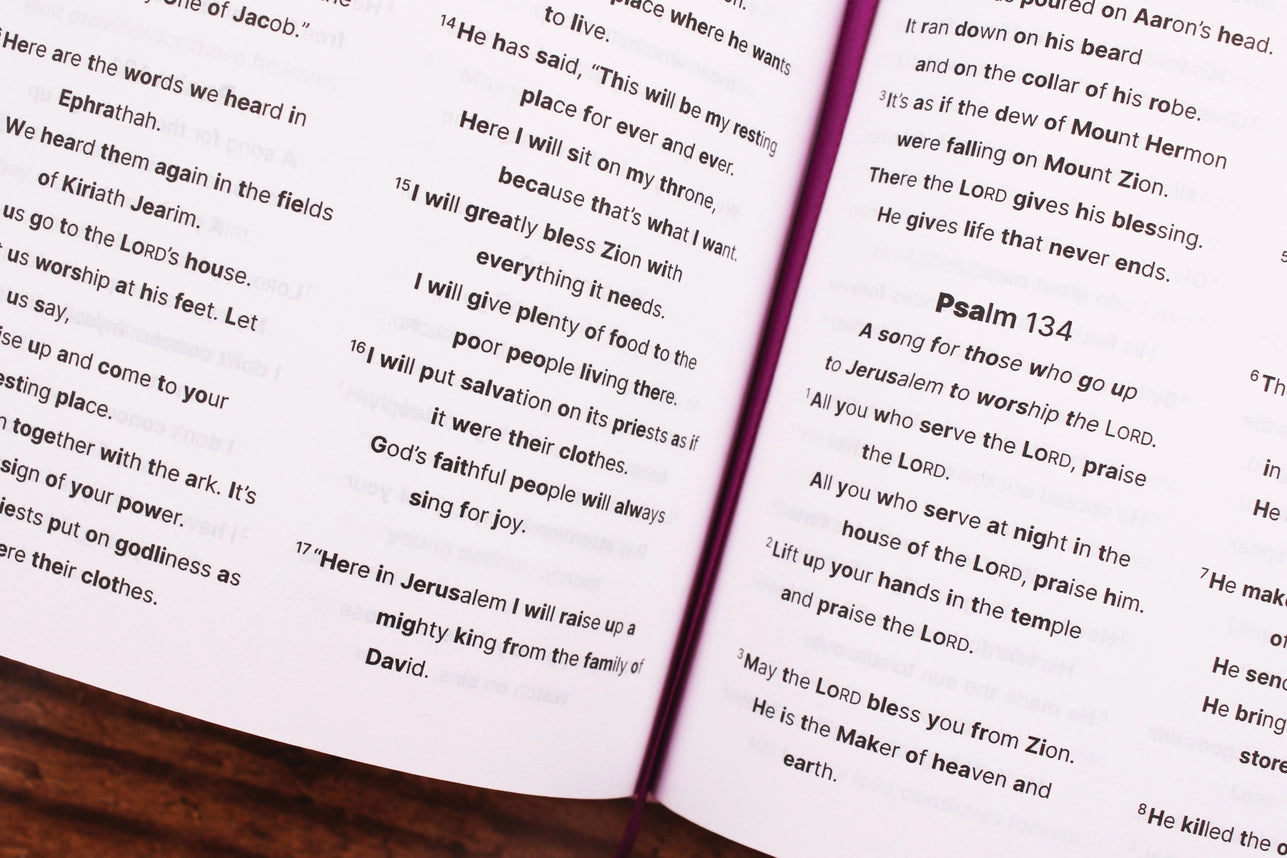 Nirv, Clear Focus Bible For Kids, Leathersoft