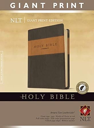 NIV Giant Print Compact Bible (Comfort Print)-Brown Leathersoft