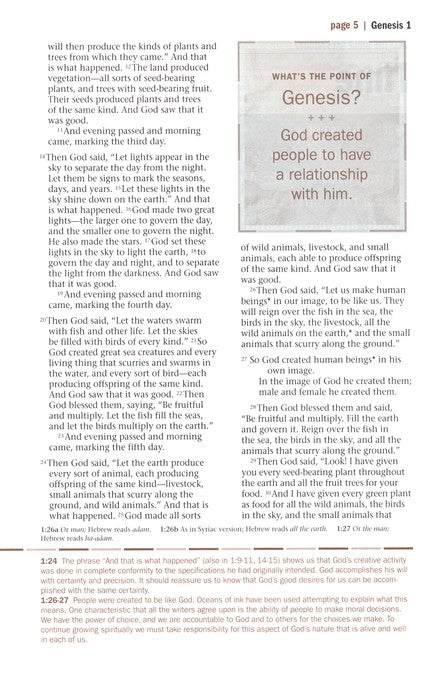 NLT Every Man's Bible: Deluxe Explorer Edition-Rustic Brown LeatherLike Indexed