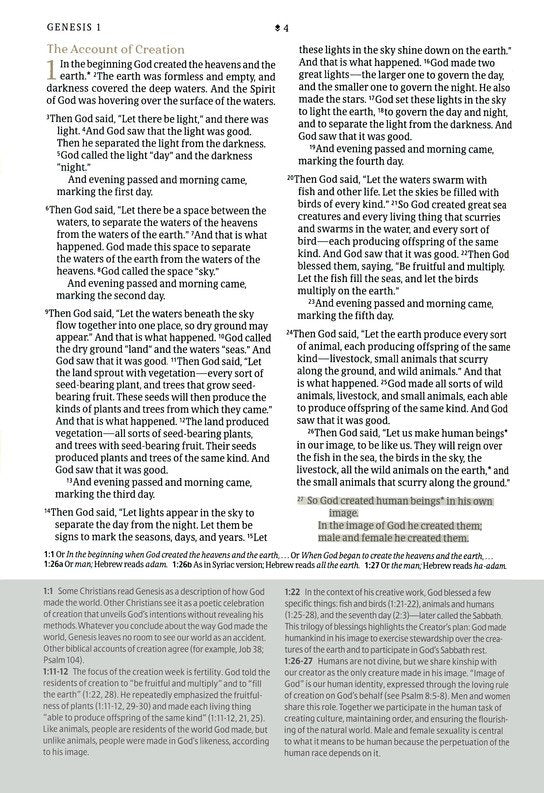NLT Every Woman's Bible, Filament-Enabled Edition (LeatherLike, Soft Gold, Indexed)