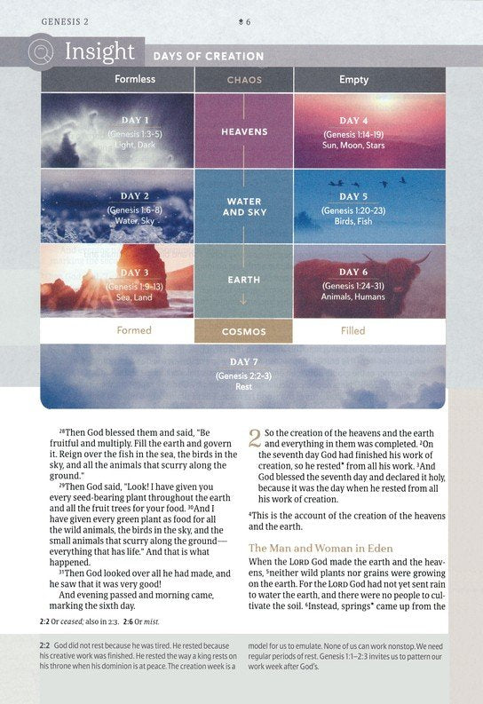 NLT Every Woman's Bible, Filament-Enabled Edition (LeatherLike, Soft Gold, Indexed)