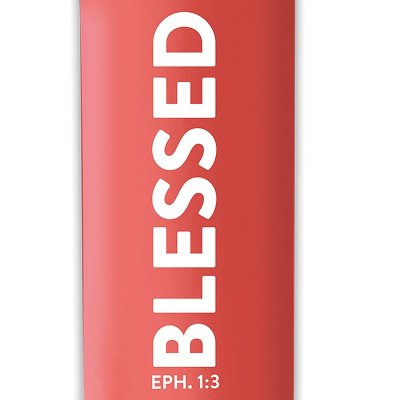 Kerusso 32 oz Stainless Steel Bottle Blessed - Coral