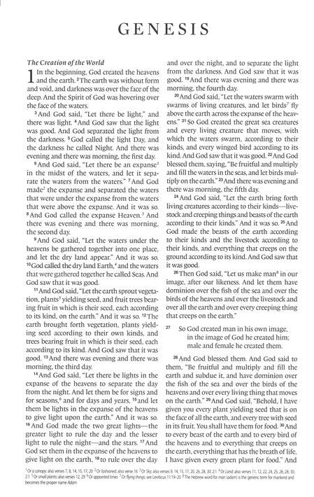 ESV Thinline Bible, Red Letter (TruTone, Pink, Emblem Design)