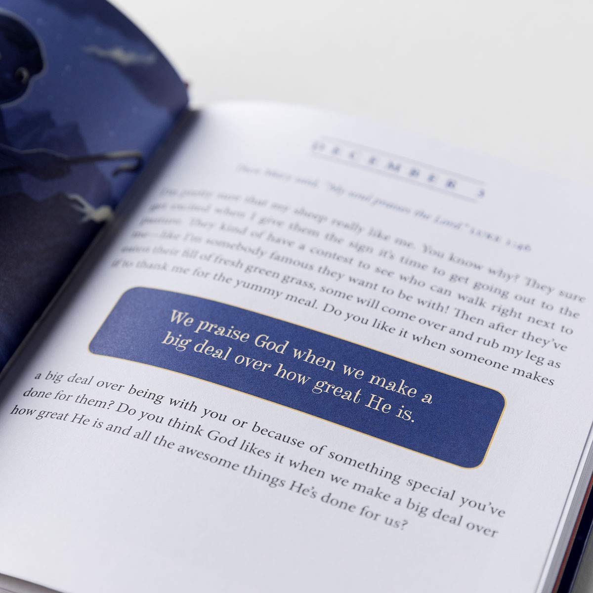 The Shepherd on the Search: A 25 Day Family Devotional