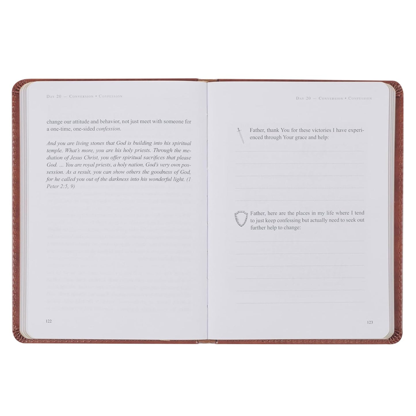 The Sword and Shield A 40 Day Devotional for Men, Faux Leather