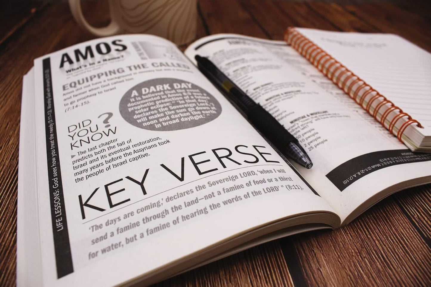 1,000 Trivia Facts About the Bible