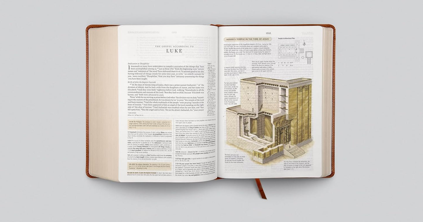 ESV Study Bible (TruTone, English Saddle, Ornament Design)