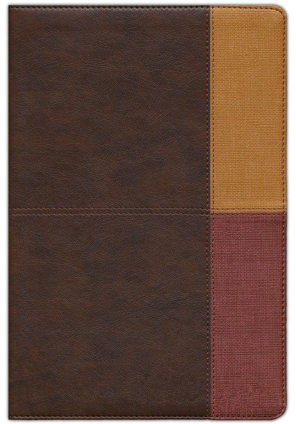 RVR 1960 Biblia de Estudio Arcoiris, cocoa/terracota símil piel con índice (RVR 1960 Rainbow Study Bible--soft leather-look, cocoa/terra cotta (indexed)