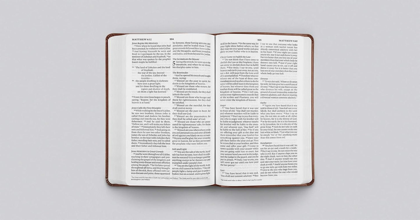 ESV Large Print Value Thinline Bible (TruTone, Chestnut)