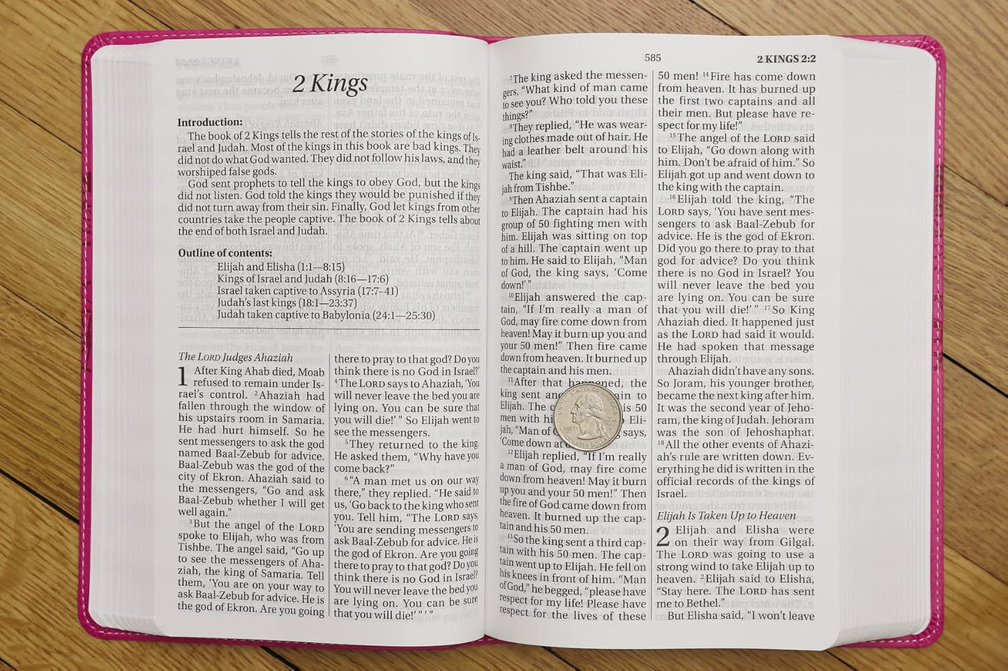 NIrV, Holy Bible, Large Print, Leathersoft, Pink