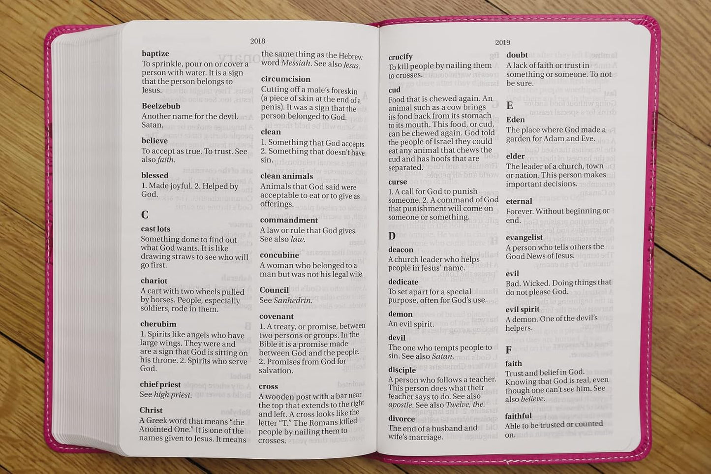 NIrV, Holy Bible, Large Print, Leathersoft, Pink