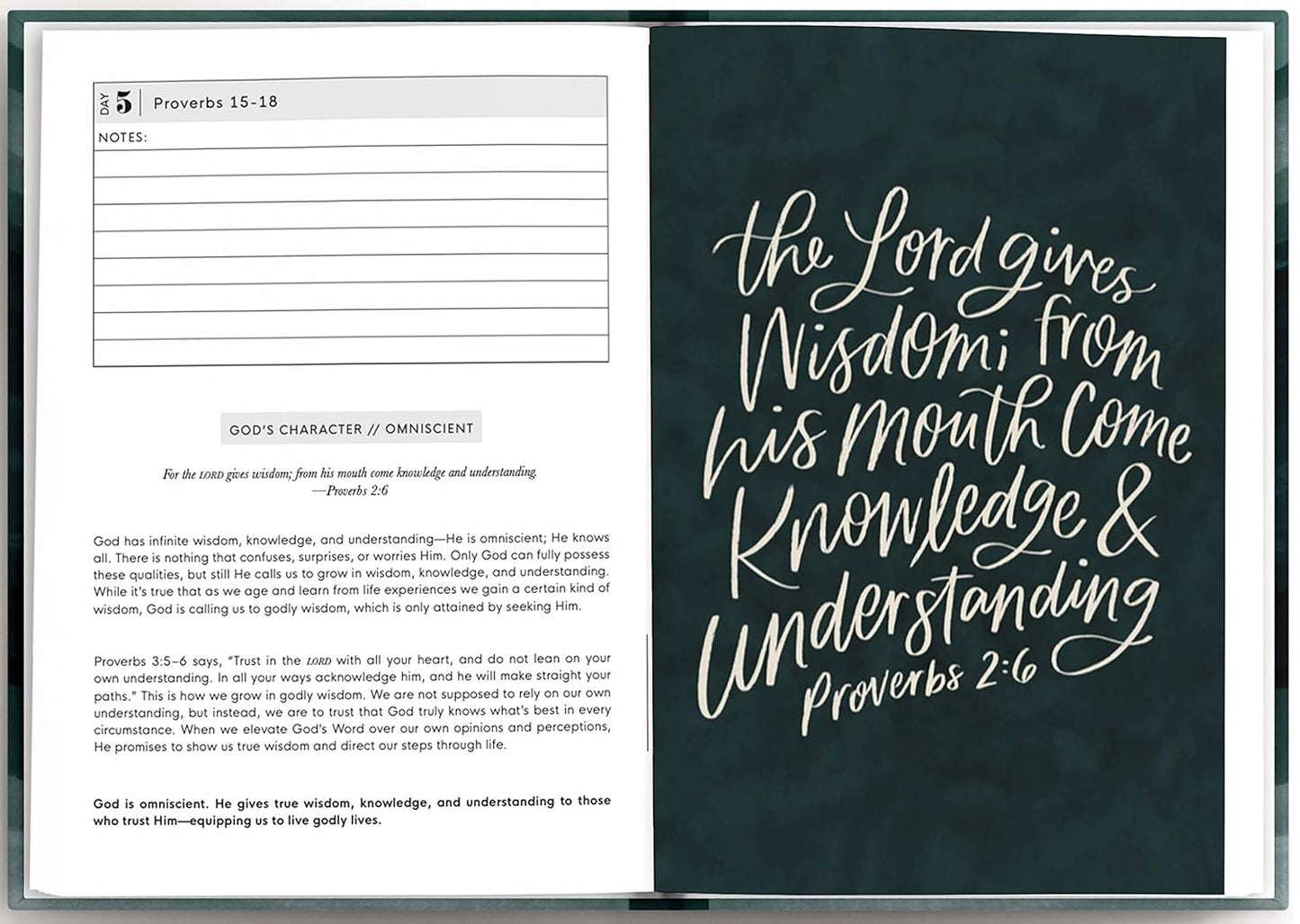 The Bible in a Year: A Guided Bible Study Reading Plan to Read the Bible in 52 Weeks