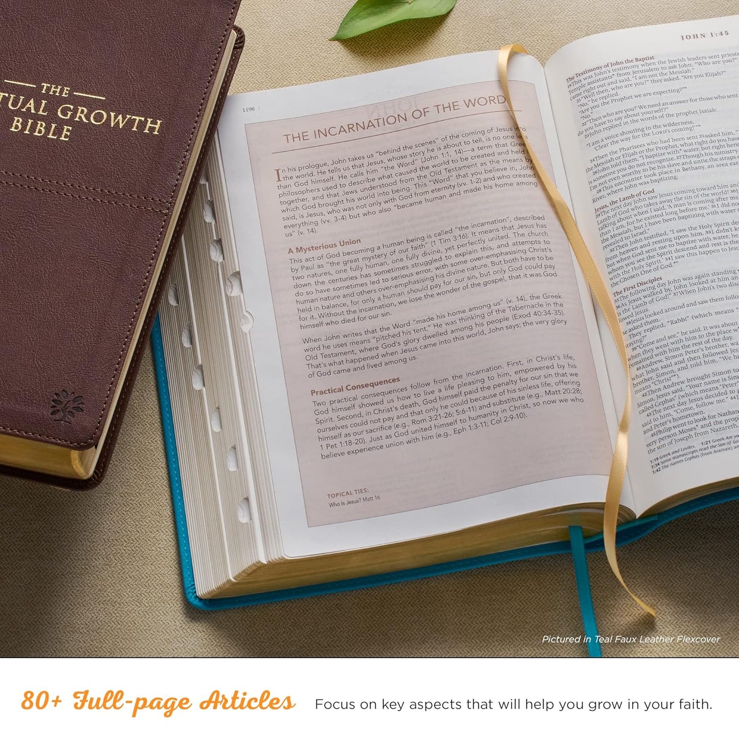The NLT Spiritual Growth Bible Pink Faux Leather