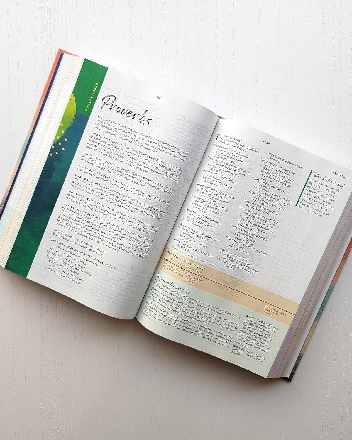 NLT Courage For Life Study Bible for Women, Filament Enabled (Hardcover)