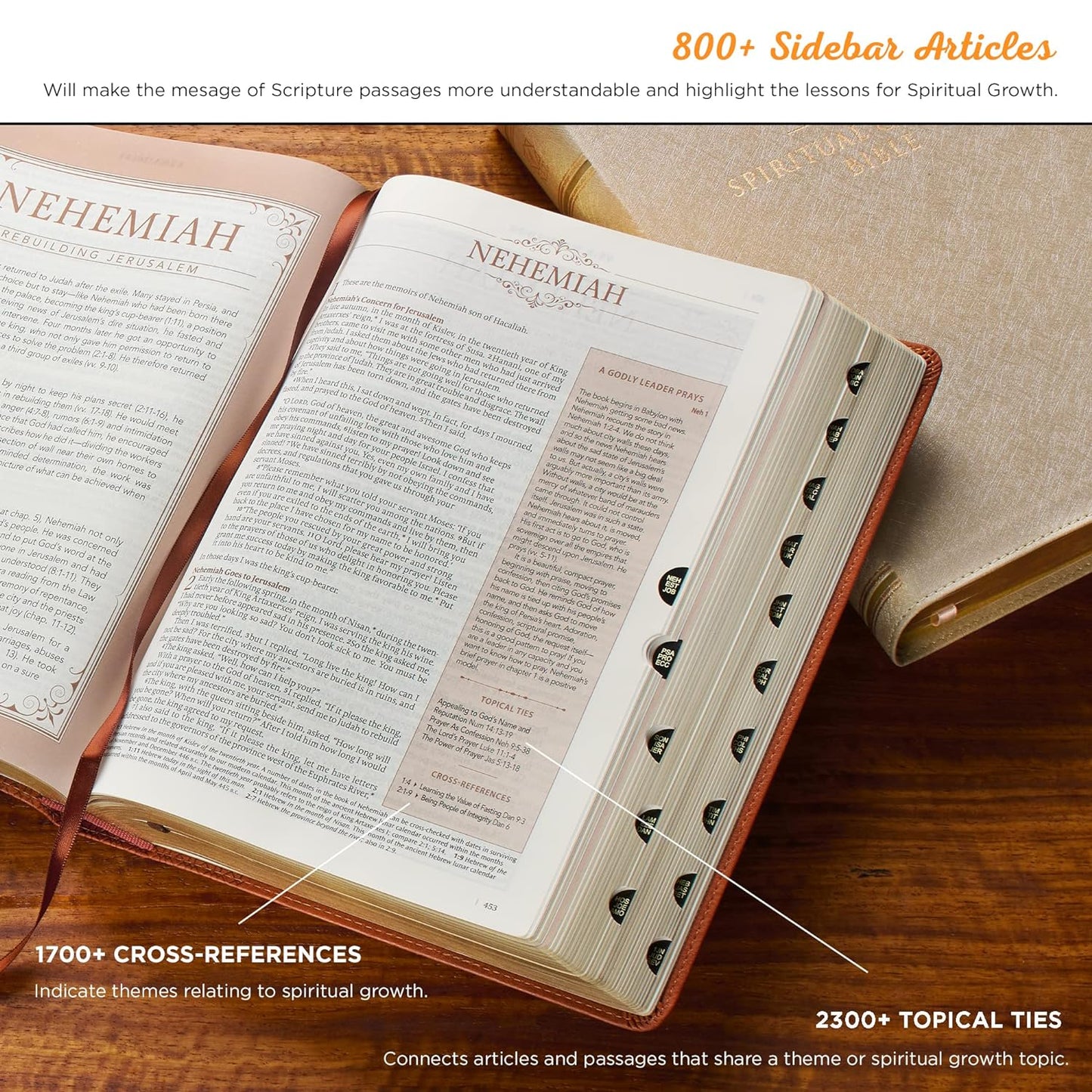 The NLT Spiritual Growth Bible Pink Faux Leather