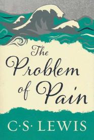 The Problem of Pain