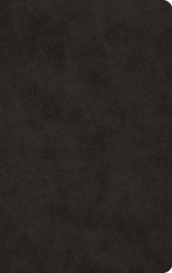 ESV Large Print Value Thinline Bible (TruTone, Black), soft imitation leather