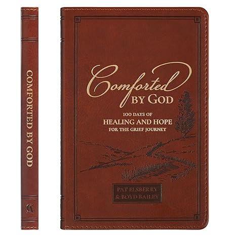 Comforted by God: 100 Days of Healing and Hope for the Grief Journey I