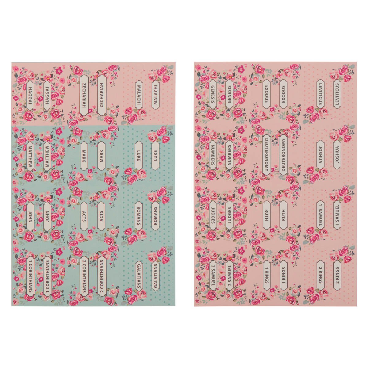 Pink and Blue Old and New Testament Bible Indexing Tabs