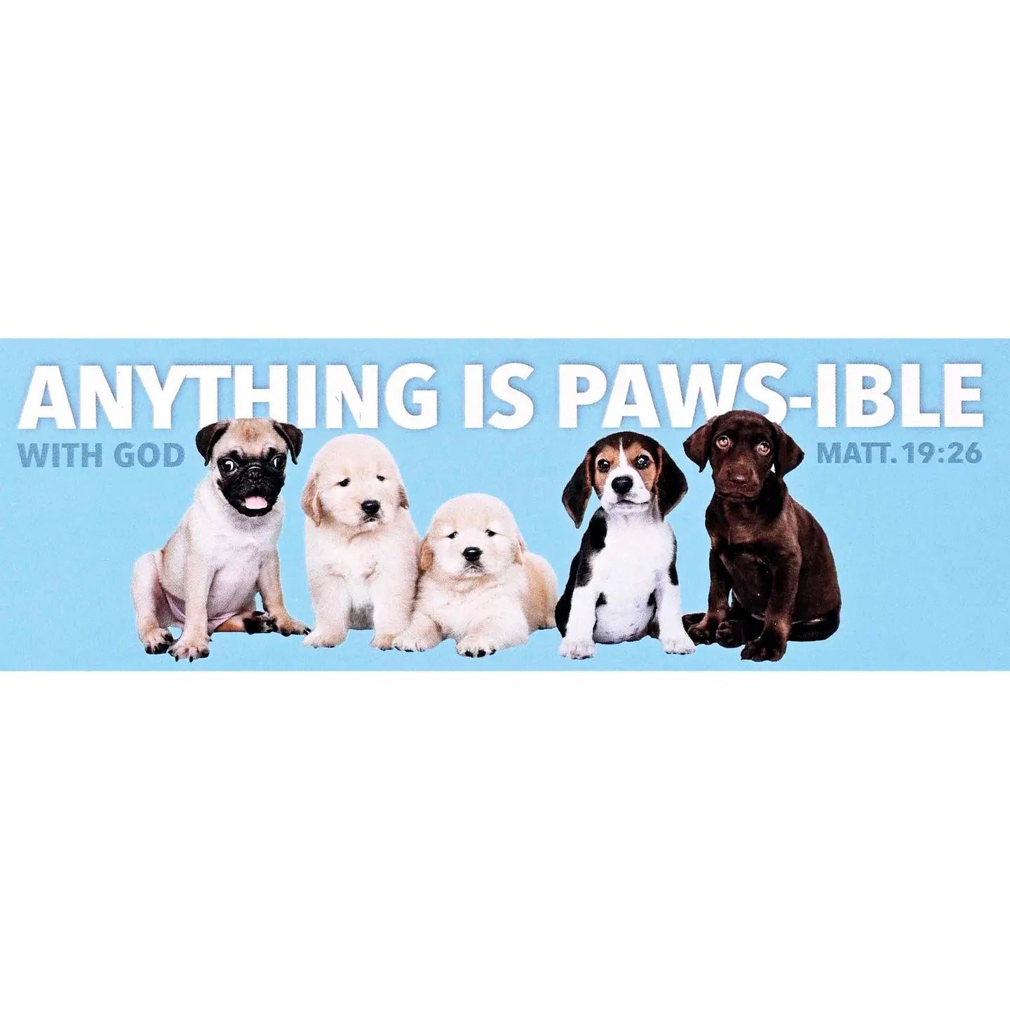 Packaged Bookmarks Anything Paws-Ible