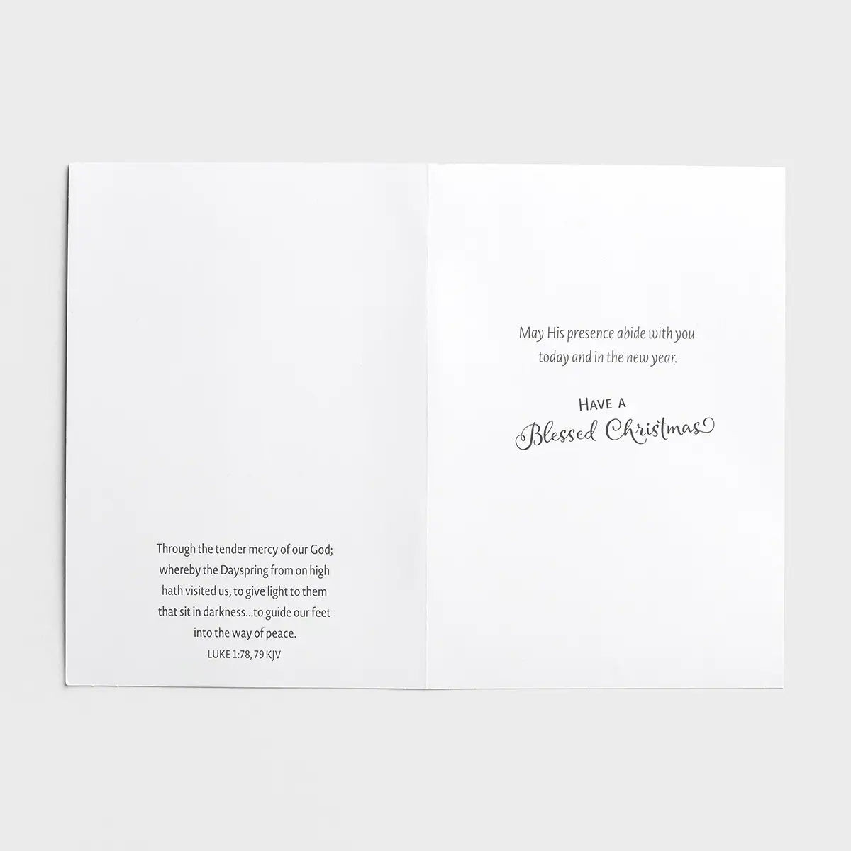 Snowman Gazer and Friends - 18 Christmas Boxed Cards and Envelopes, KJV