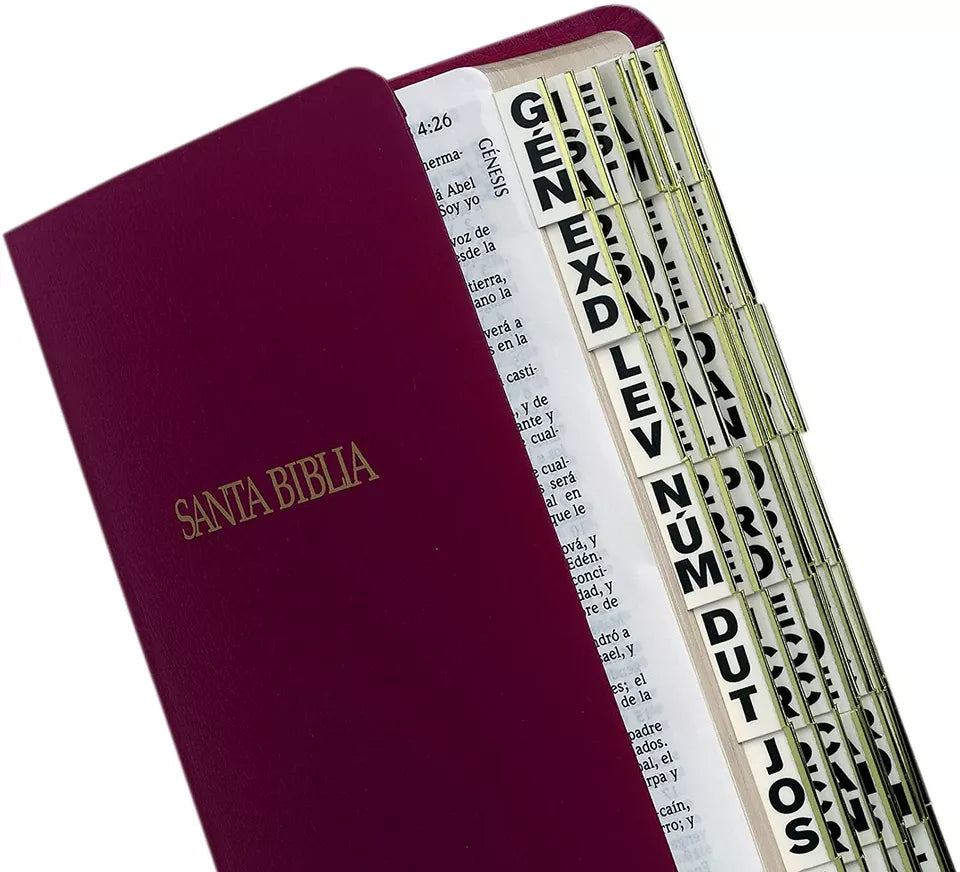 Spanish Bible Tabs (Old & New Testaments)- Gold Edge (Large Print)