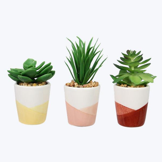 Ceramic Positive Vibe Succulents, 3 Ast