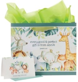 Gift Bag w/ Card LG Landscape Perfect Gift James 1:17