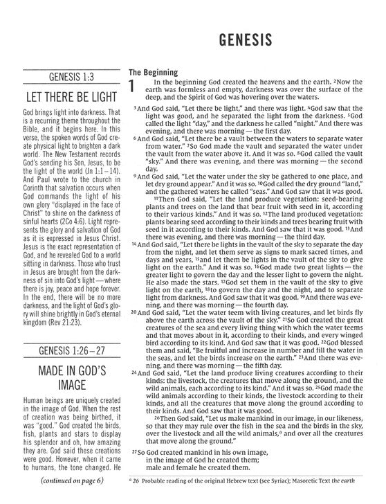 The Jesus Bible, NIV Edition, Pink