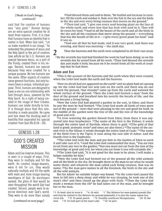 The Jesus Bible, NIV Edition, Pink