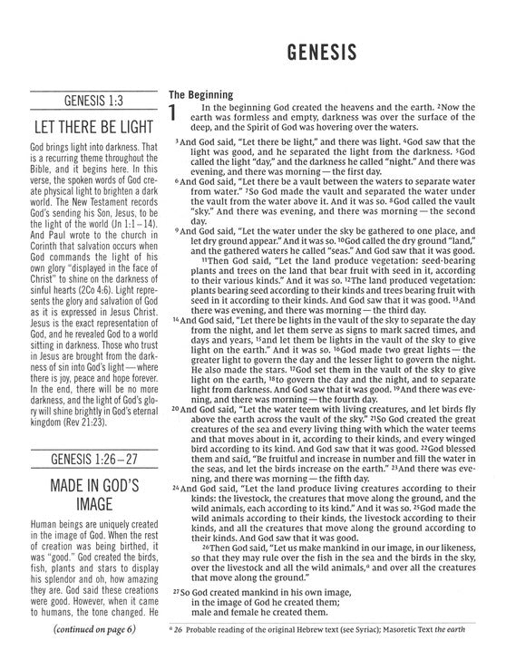 NIV Comfort Print Jesus Bible, Cloth Over Board, Gray