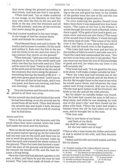 Flourish: The NIV Bible for Women, Comfort Print, Hardcover