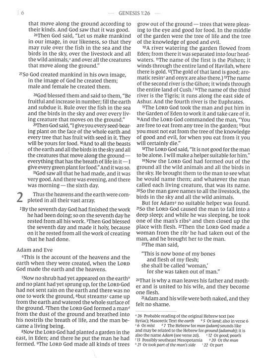 Flourish: The NIV Bible for Women, Comfort Print, Cloth Over Board, Cream