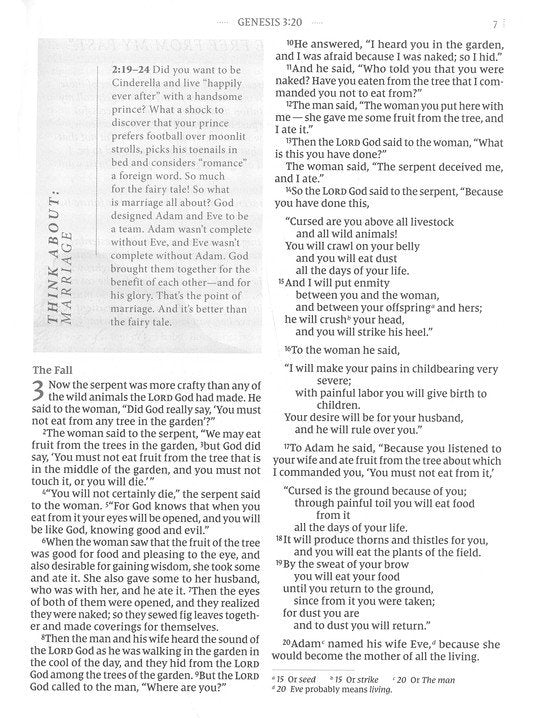Flourish: The NIV Bible for Women, Comfort Print, Cloth Over Board, Cream