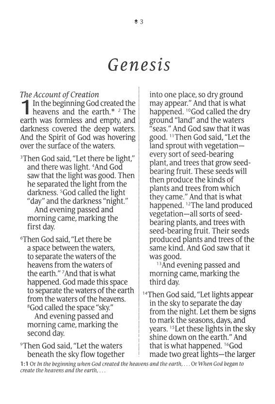 NLT Giant Print Bible, Filament-Enabled Edition (LeatherLike, Black, Red Letter)