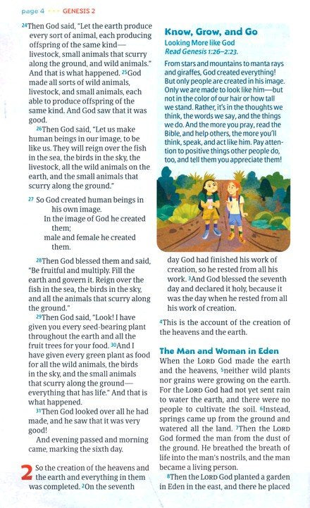 NLT Go Bible for Kids (Leatherlike, Blue Mountains)