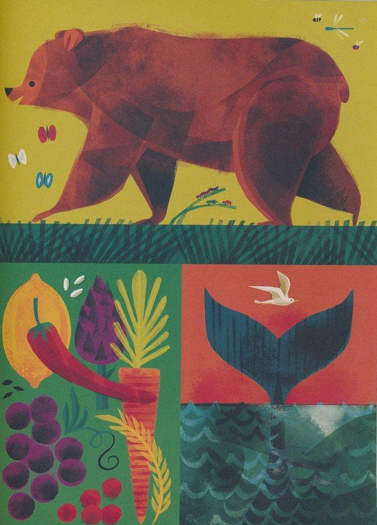 The Biggest Story Bible Storybook by Kevin DeYoung