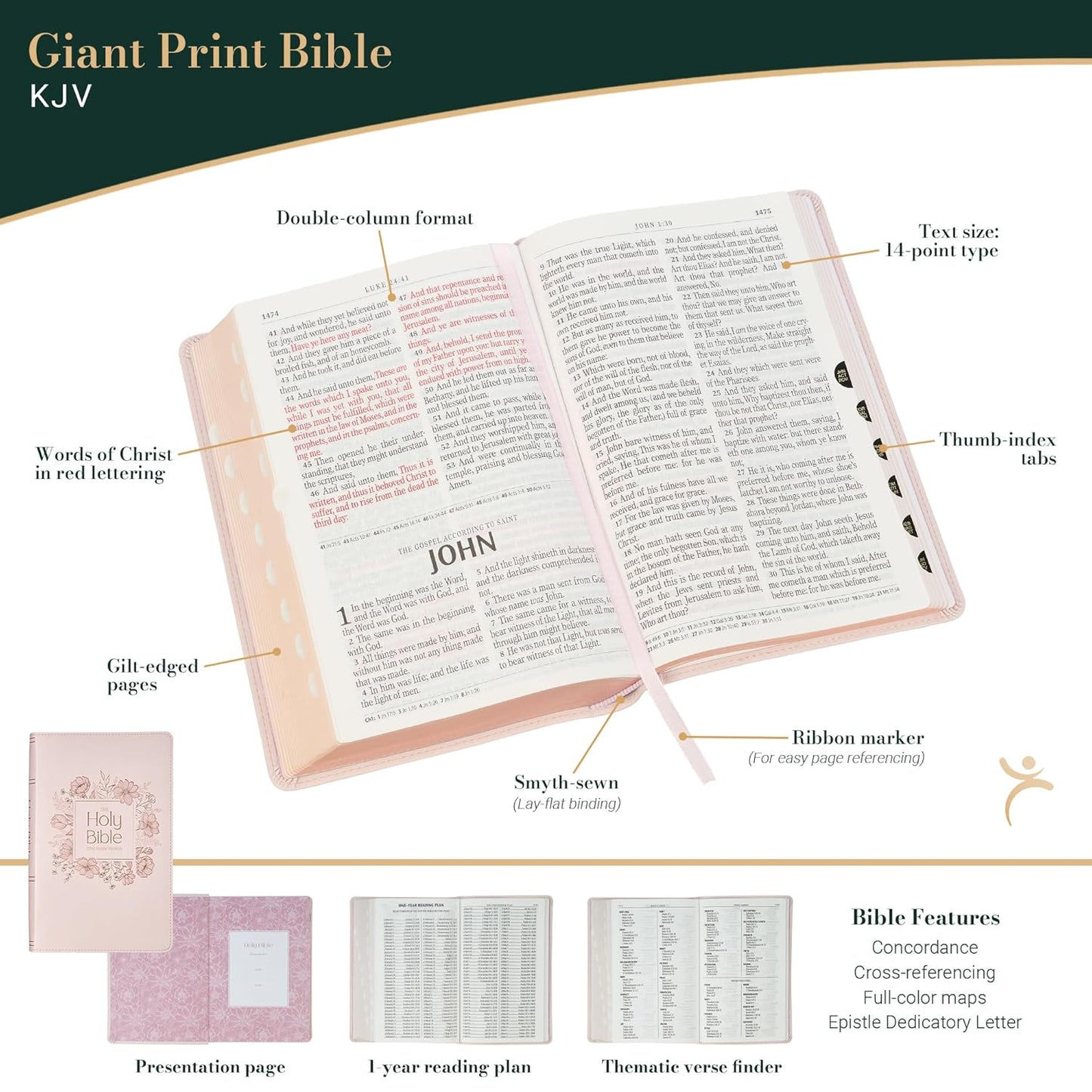 KJV Holy Bible, Giant Print Standard Size Red Letter Edition, Thumb Index Tabs & Ribbon Marker, King James Version, Vegan Leather, Pink, 14 pt.
