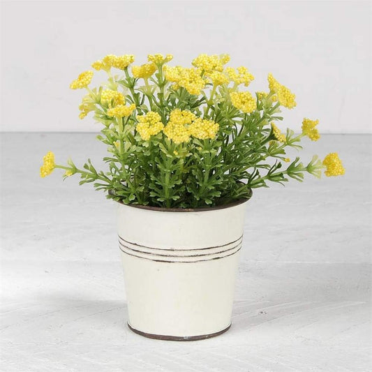 Yellow Flowers in White Metal Pot