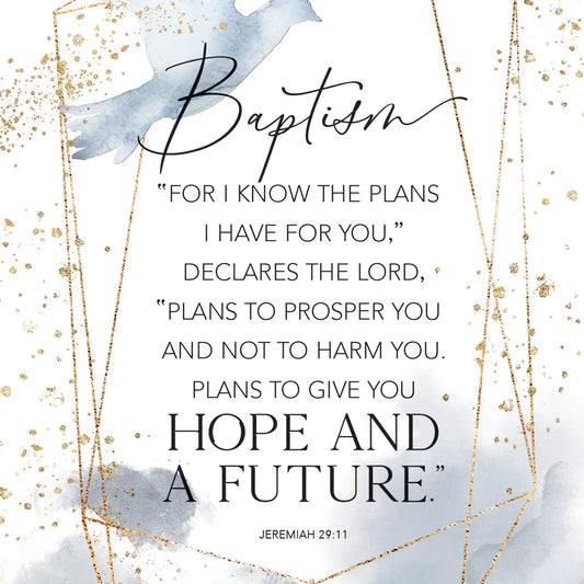 Baptism - Heaven Sent Plaques 6X9 Wood Plaque