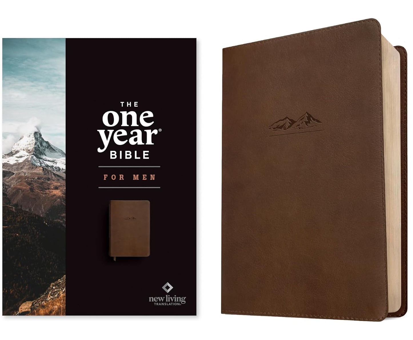 NLT The One Year Bible for Men (LeatherLike, Rustic Brown Mountain)