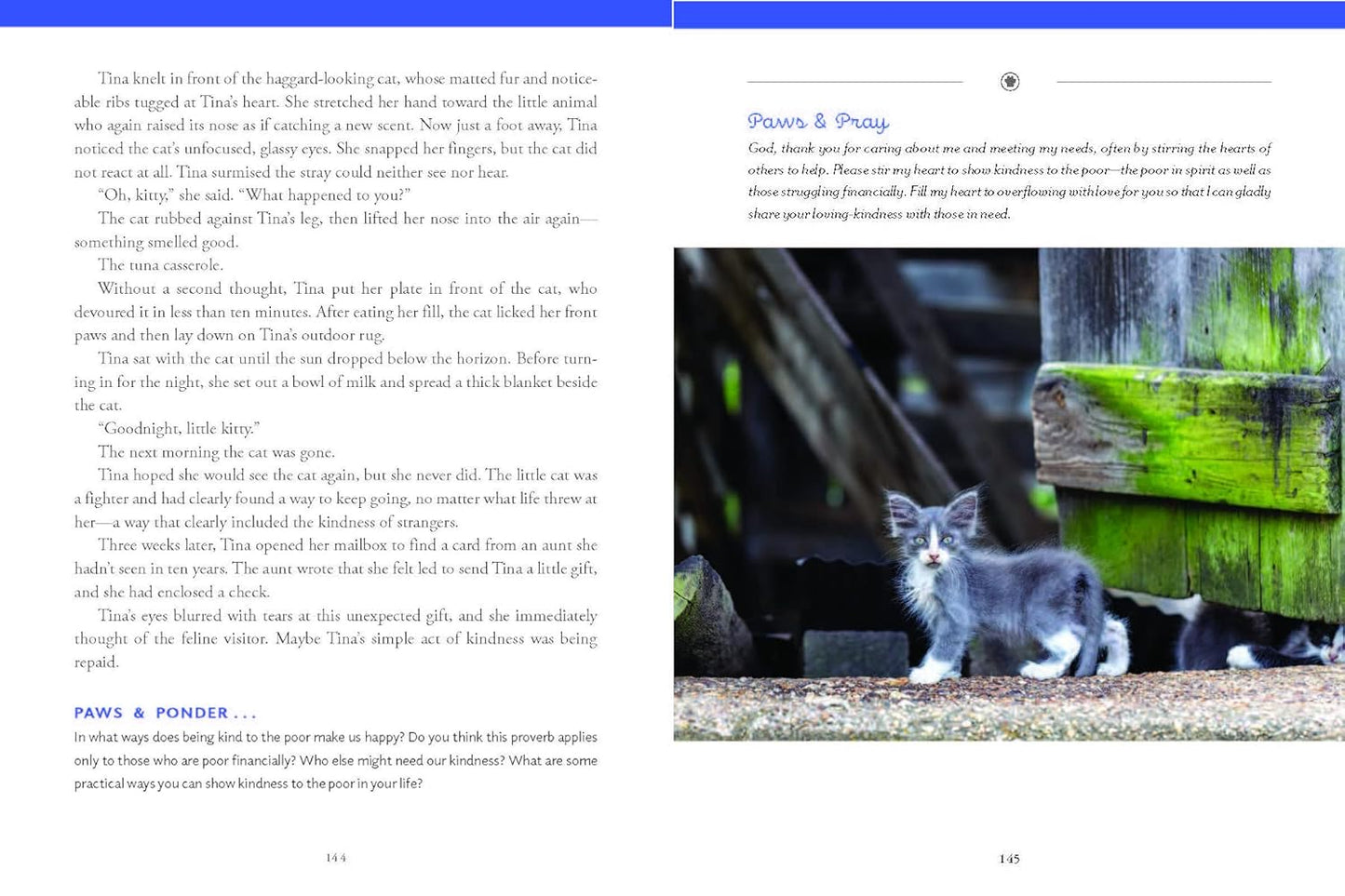 Pawverbs for a Cat Lover's Heart: Inspiring Stories of Feistiness, Friendship, and Fun