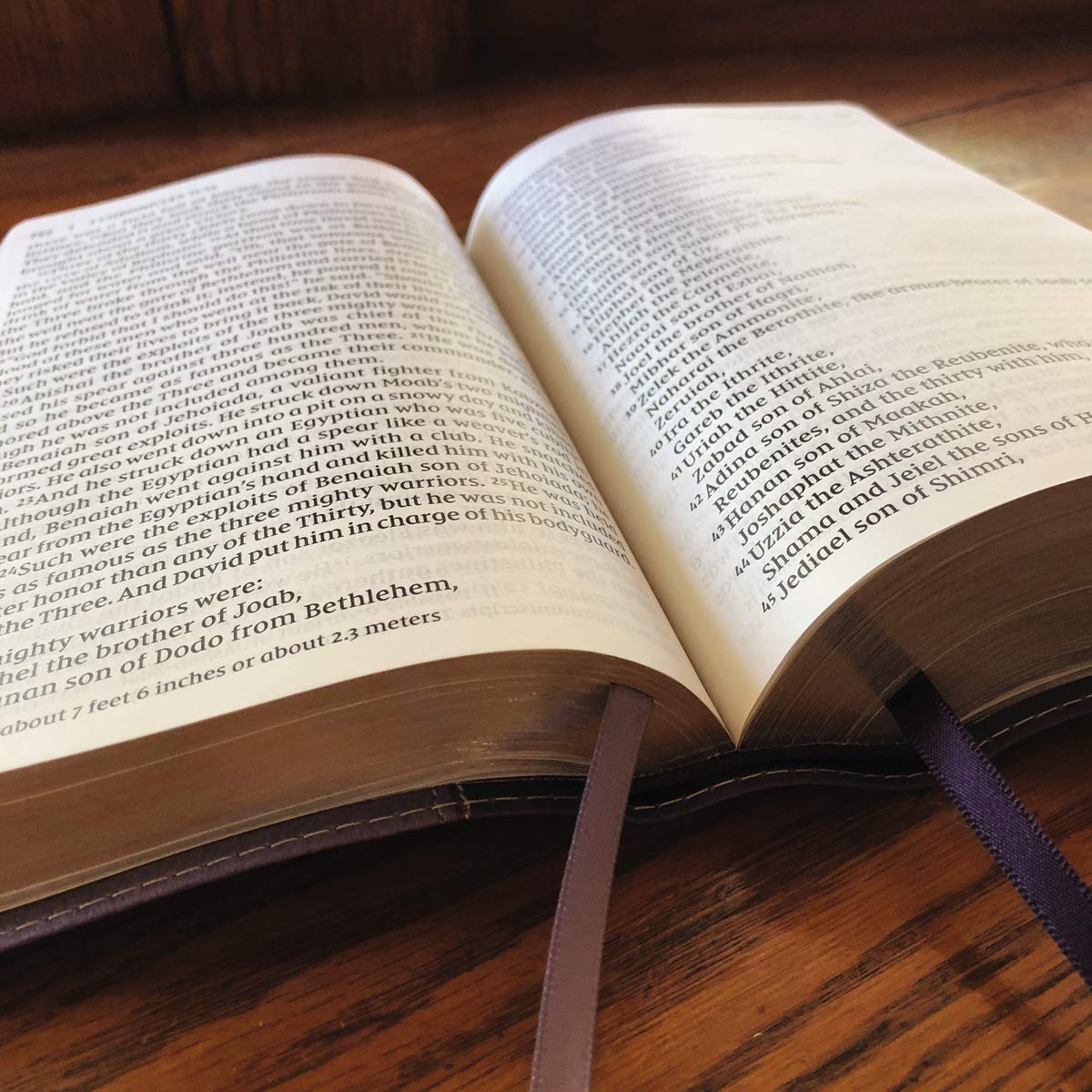NIV, Giant Print Compact Bible, Leathersoft, Purple, Red Letter, Comfort Print