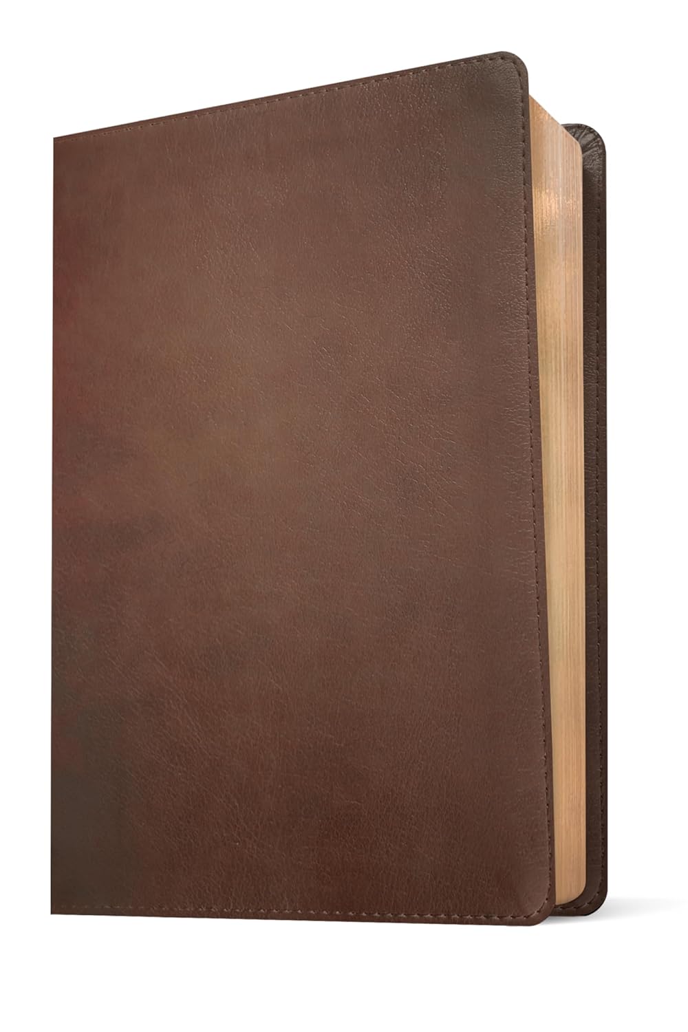 NLT Life Recovery Bible, Second Edition (LeatherLike, Rustic Brown)