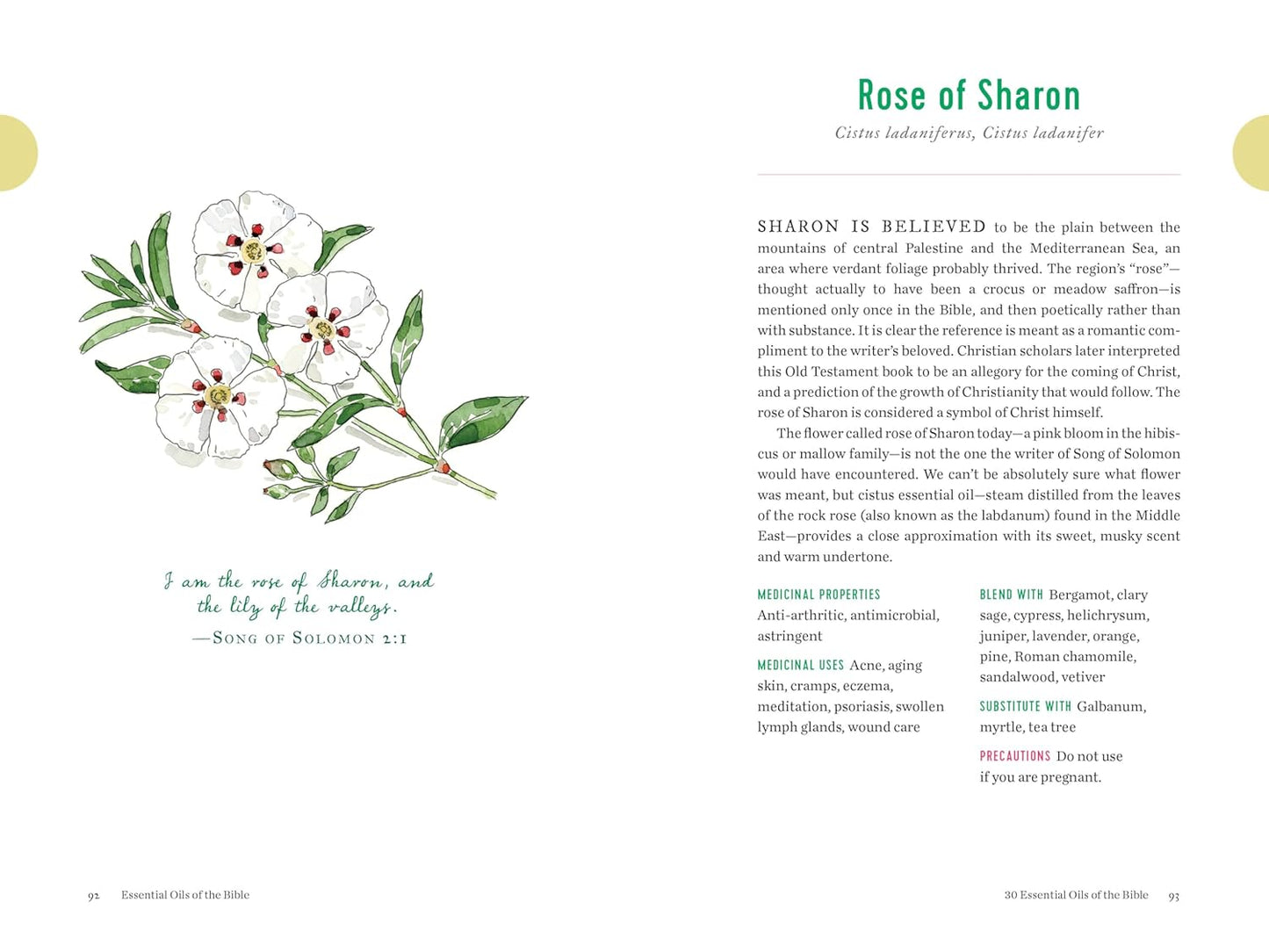Essential Oils of the Bible: Connecting God's Word to Natural Healing