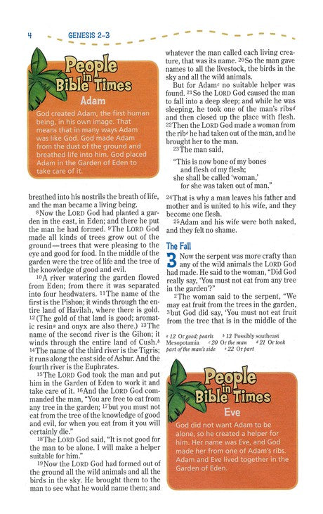 NIV Adventure Bible (Full Color)-Blue/Blue Duo-Tone