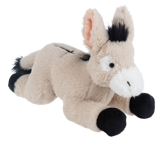 The Faithful Donkey