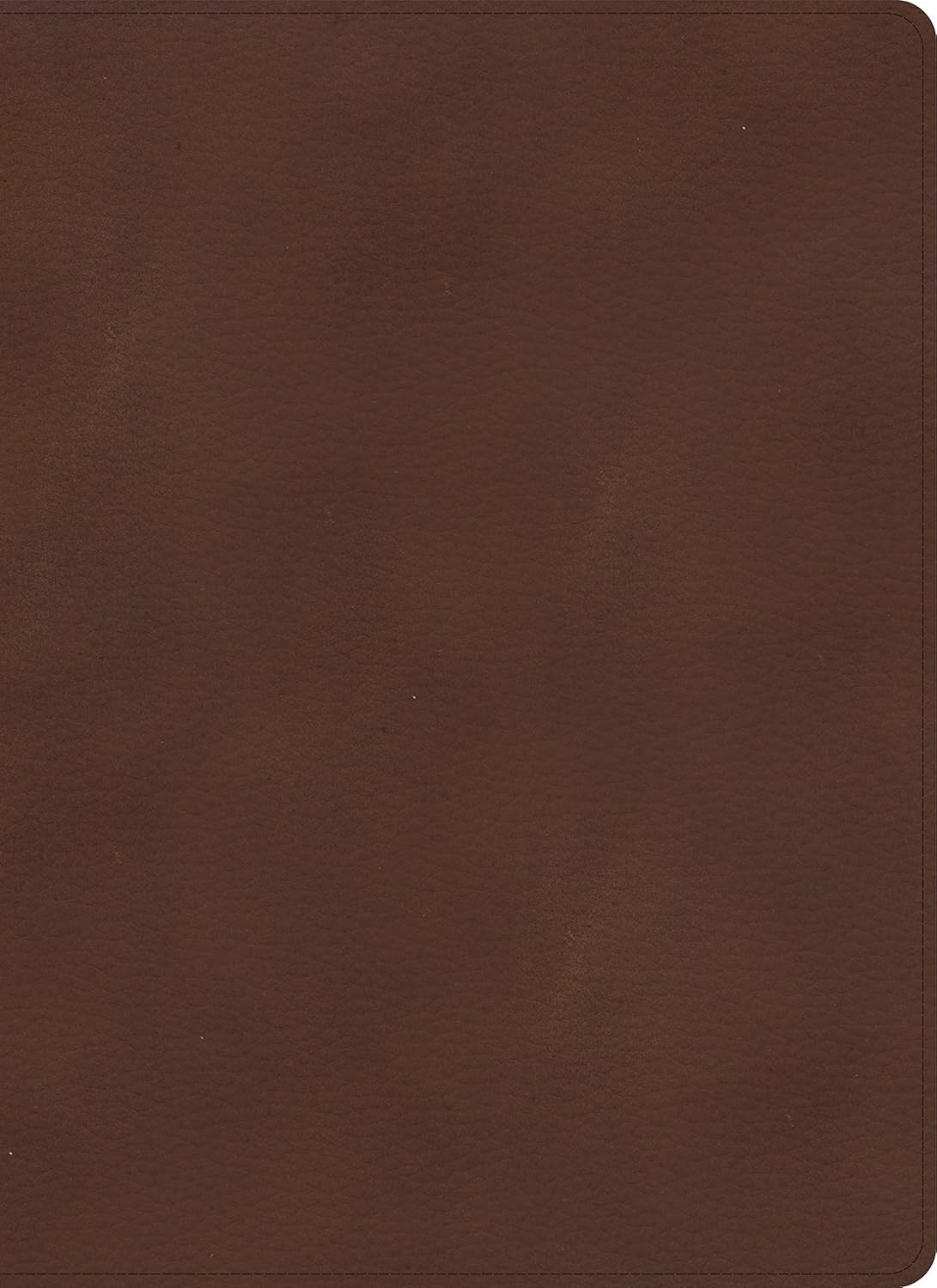 KJV Single-Column Wide-Margin Bible, Brown LeatherTouch
